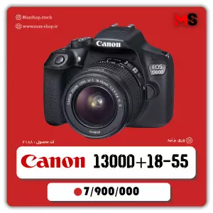 stock